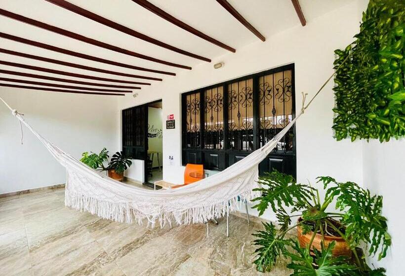 디럭스 룸, De Greiff House