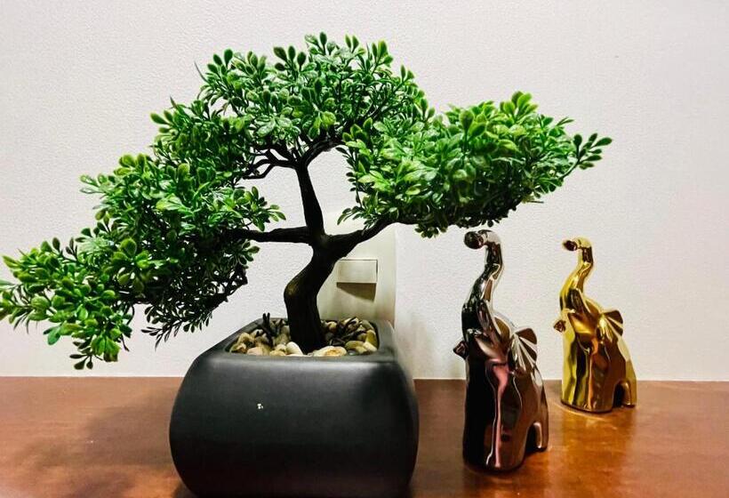 디럭스 룸, De Greiff House