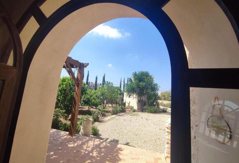 اتاق استاندارد, Riad Bini Ddik