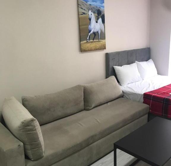 سوئیت با تخت بزرگ, Ava Sui̇te