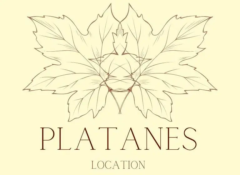 ツーベッドルーム　ヴィラ, Hôtel Restaurant Platanes   Kb Hotel Group