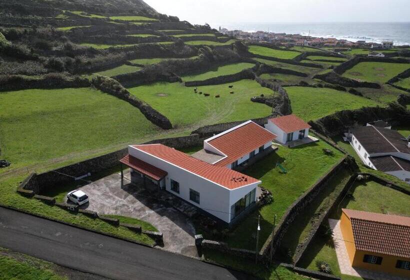 1间卧室的房子, Oceanus