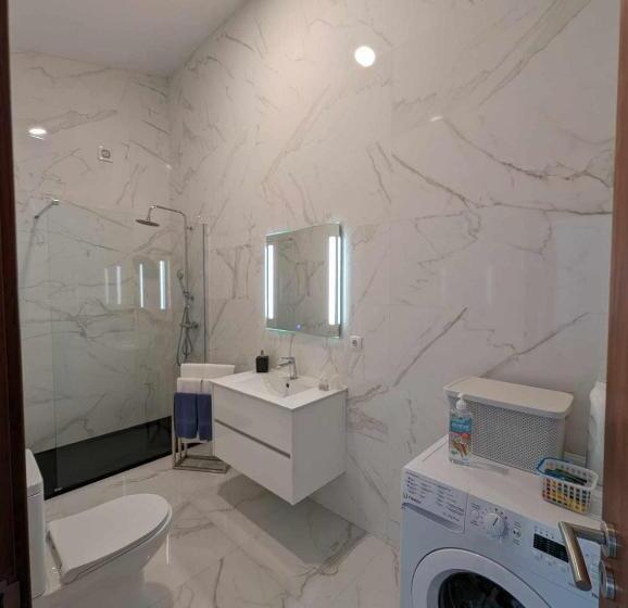 1间卧室的房子, Oceanus