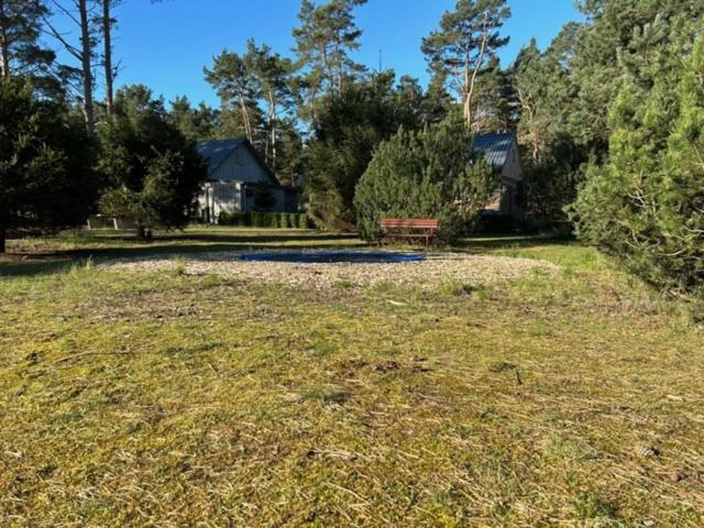 Апартаменты 1 Спальня, Ferienpark Buntspecht Apartment B