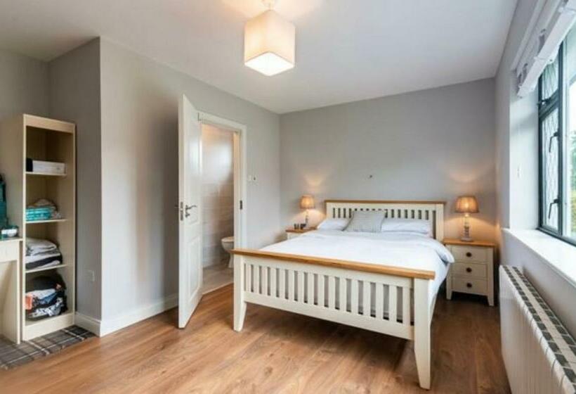 Номер Стандарт, Greenville B&b