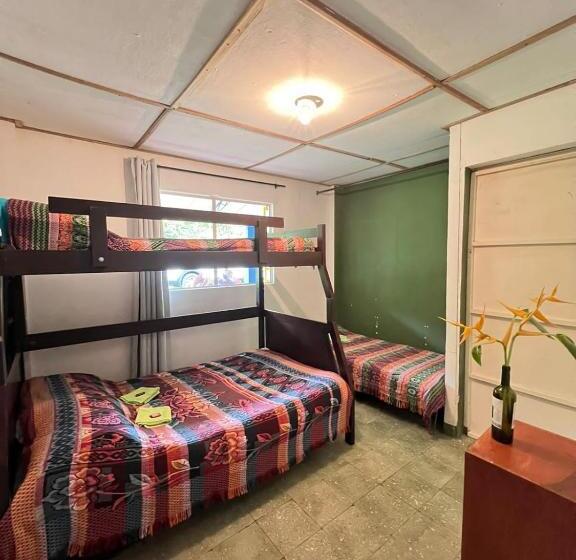 חדר סטנדרט נוף לגינה, Las Hamacas