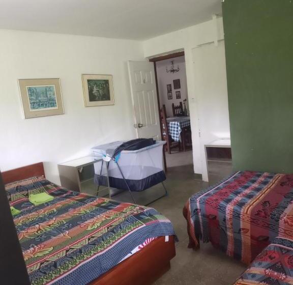 חדר סטנדרט לארבעה, Las Hamacas