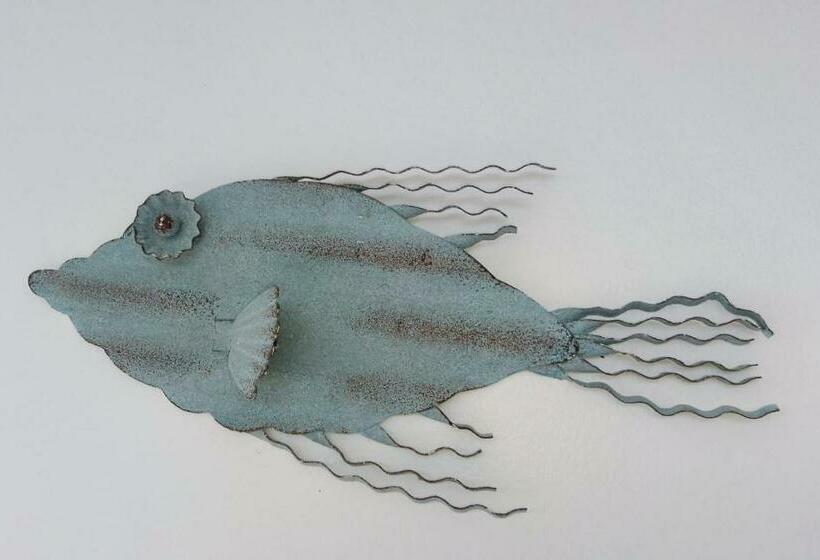 اتاق لوکس, Hostal Marina Samana