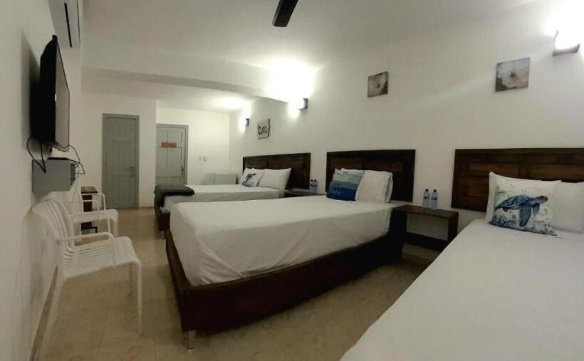 اتاق ساده سه‌ نفره, Hostal Marina Samana