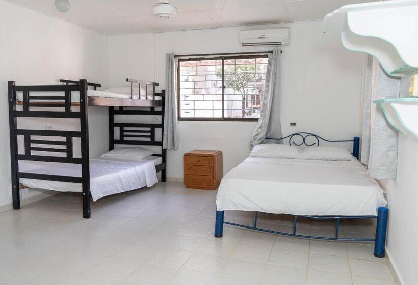 이코노이 4인룸, Casa Toboro