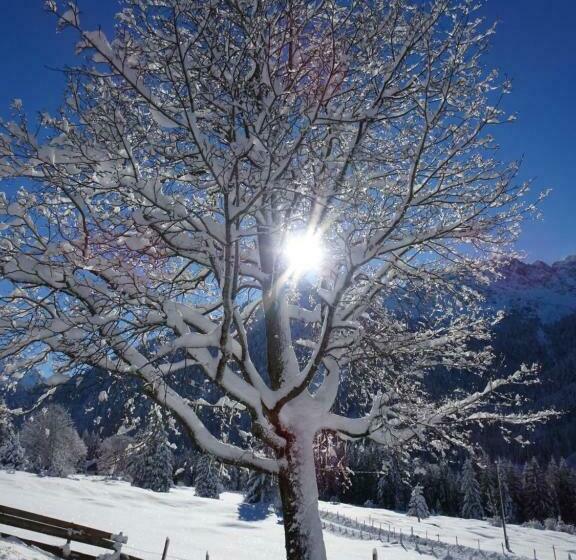 스탠다드 룸, Bergsteiger Hotel Grüner Hut
