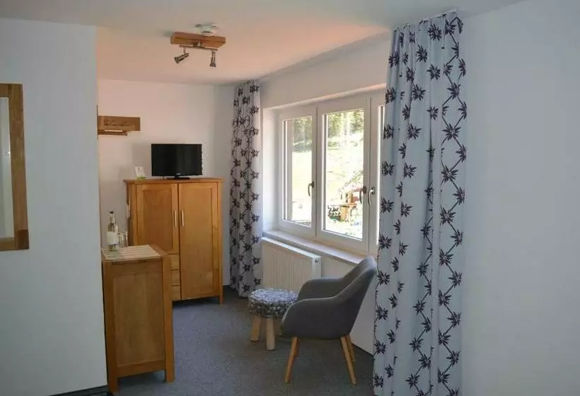 Standard-huone, Bergsteiger Hotel Grüner Hut