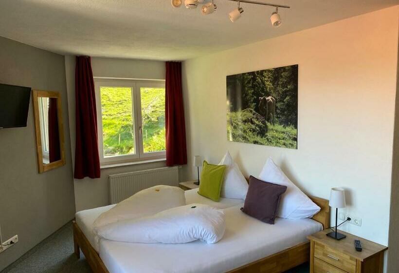 스탠다드 발코니 룸, Bergsteiger Hotel Grüner Hut