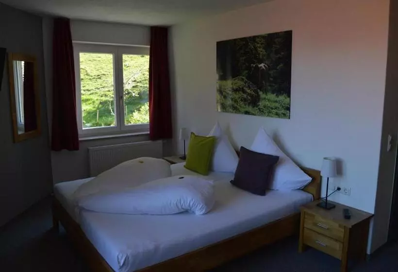 Standard-huone Parveke, Bergsteiger Hotel Grüner Hut