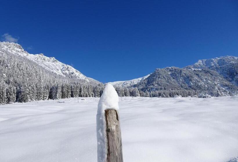 스탠다드 룸, Bergsteiger Hotel Grüner Hut
