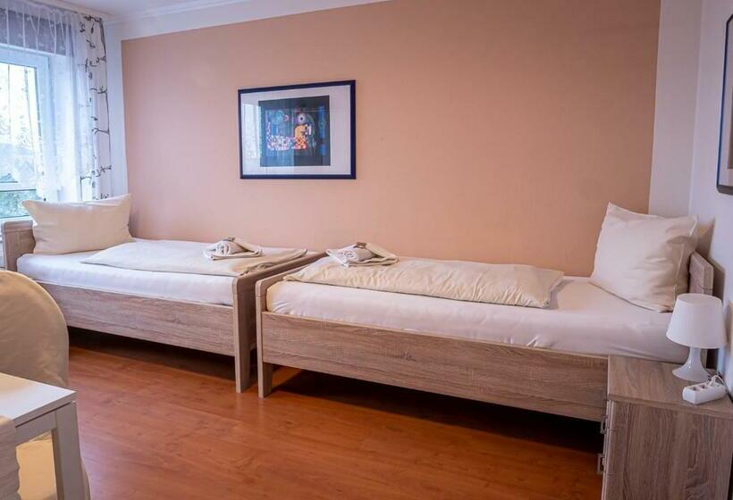 标准间, Bouzid Laatzen