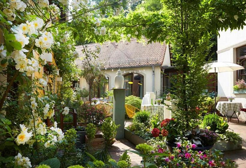 Comfort room with terrace, Fährhaus Meißen B&b