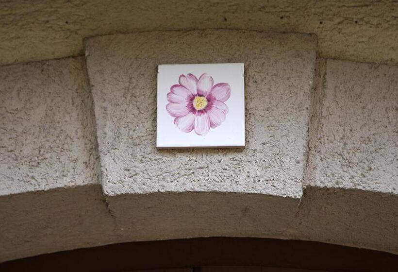 Comfort room with terrace, Fährhaus Meißen B&b