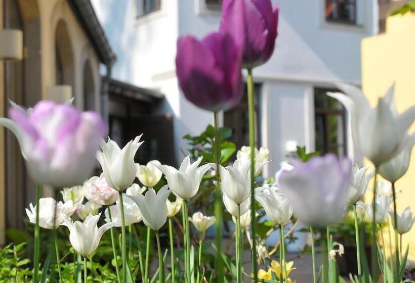 Comfort room with terrace, Fährhaus Meißen B&b