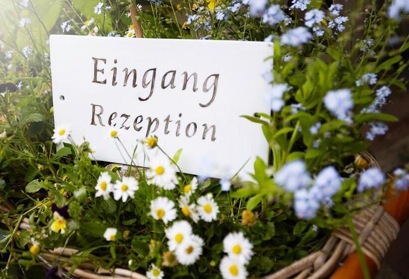 标准单人间, Fährhaus Meißen B&b