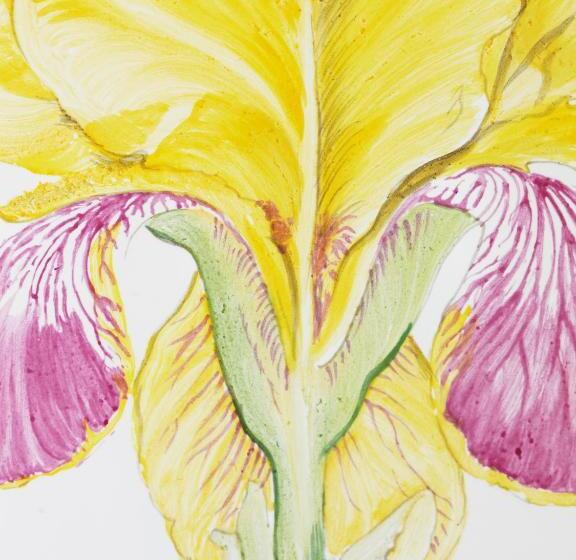 小型套房, Fährhaus Meißen B&b