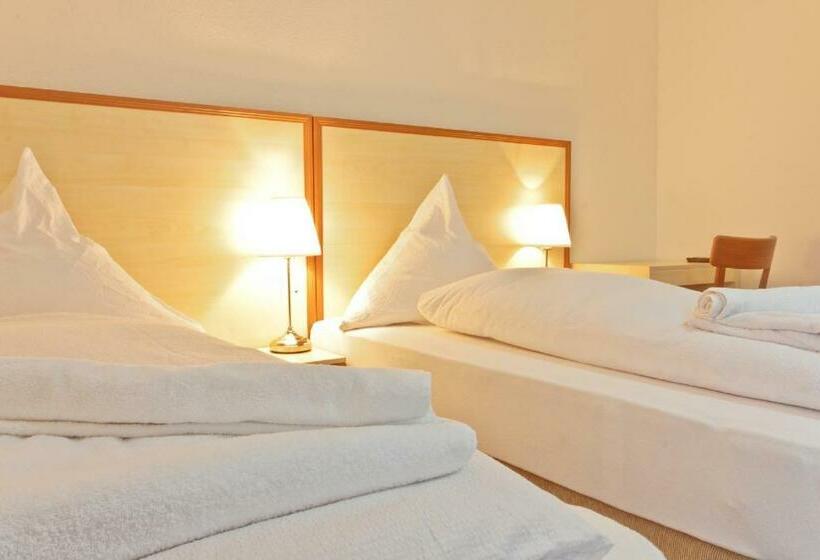 Номер Стандарт Индивидуальный, Ganita Weil Am Rhein