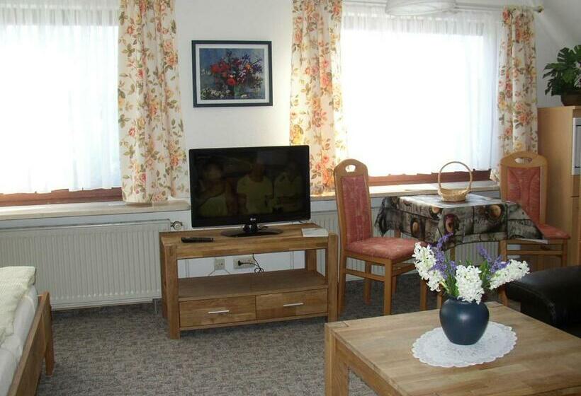 Номер Стандарт, Gästehaus Nis Puk Und Ferienwohnungen