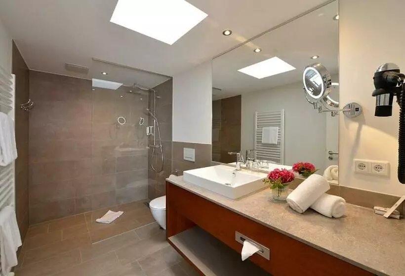 Standard Room, Kurhotel Drei Birken