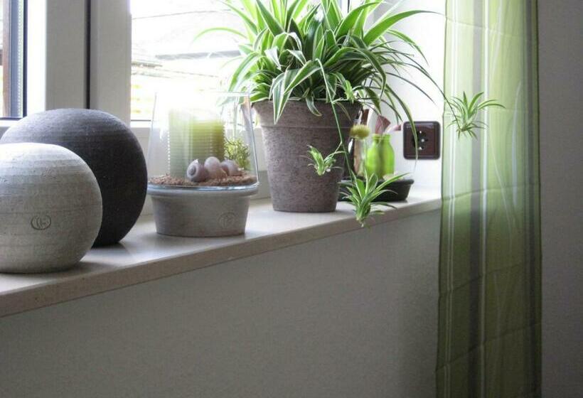 Номер Стандарт, Pension Dalinghaus