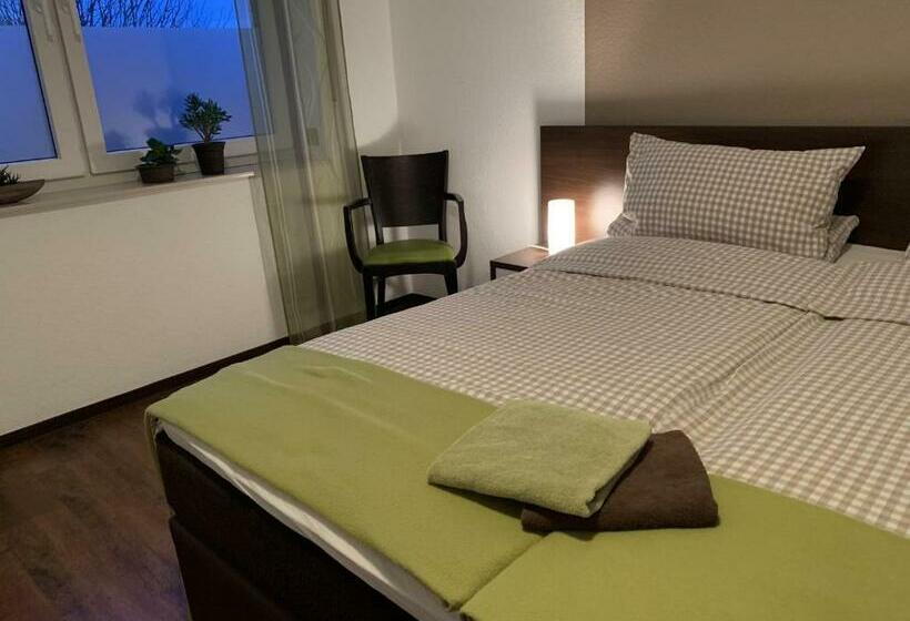 Номер Стандарт, Pension Dalinghaus