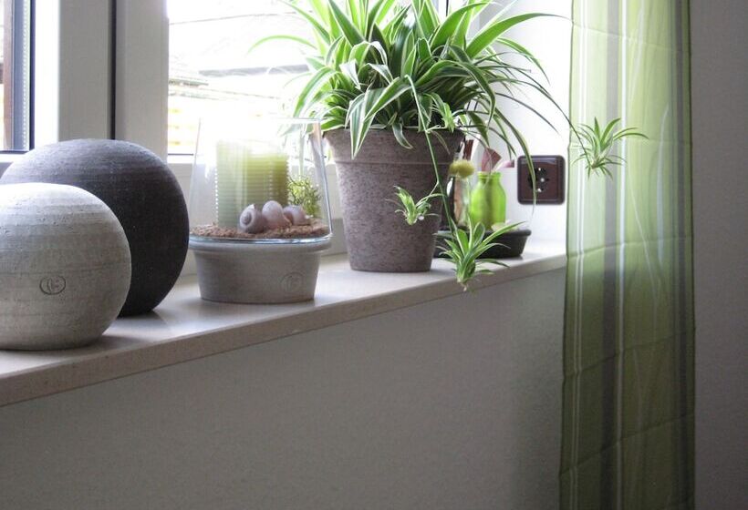 Номер Стандарт, Pension Dalinghaus