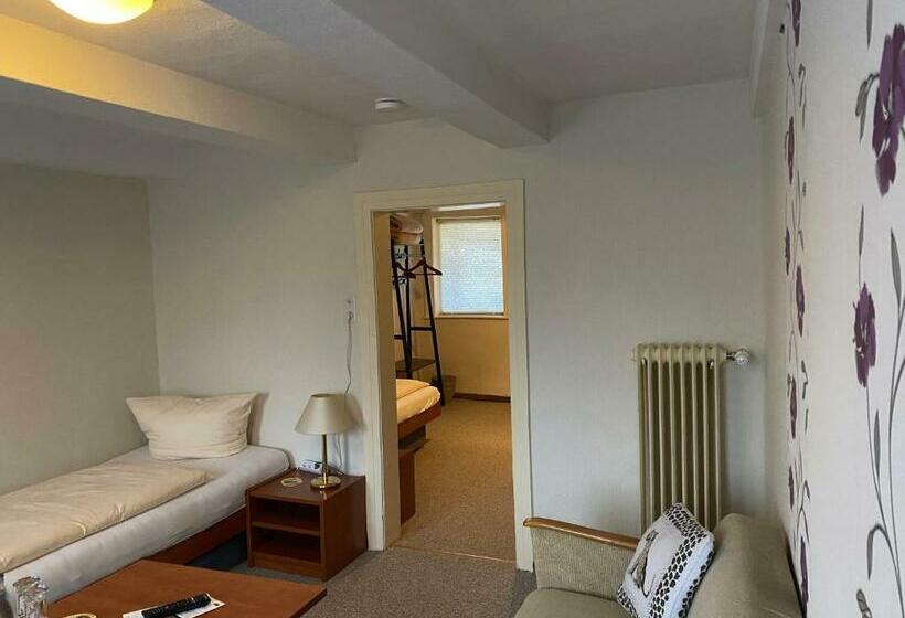 スタンダードルーム, Pension Gelpkes Mühle