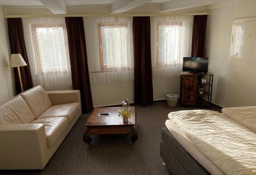 スタンダードルーム, Pension Gelpkes Mühle