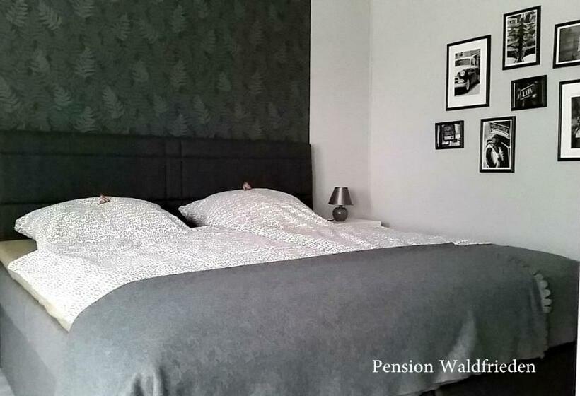 غرفة قياسية, Pension Holl Und Boll Am Hexenstieg