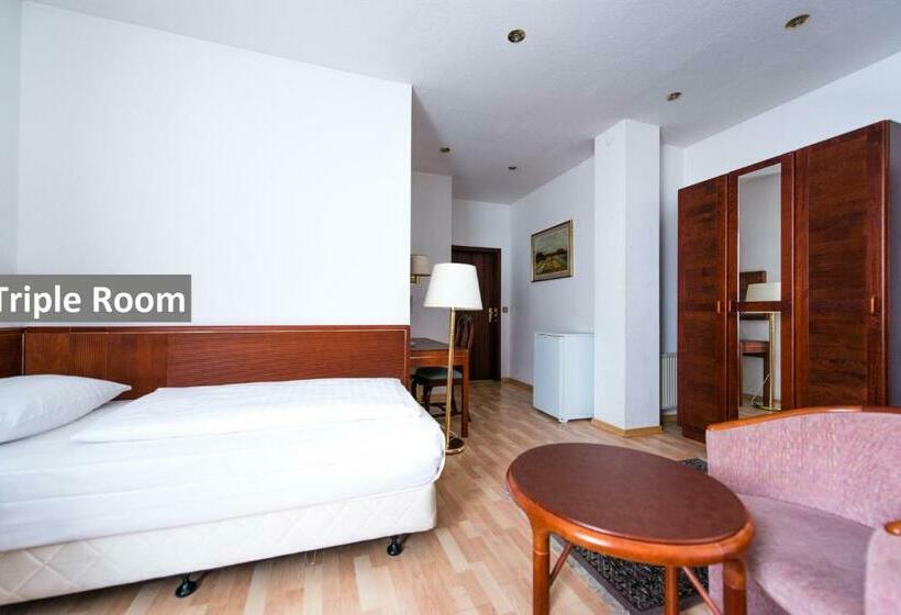 标准三人间, Ravel International