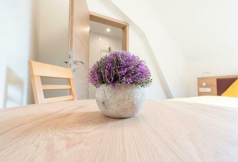 חדר סטנדרט יחיד, Restaurant Schwert