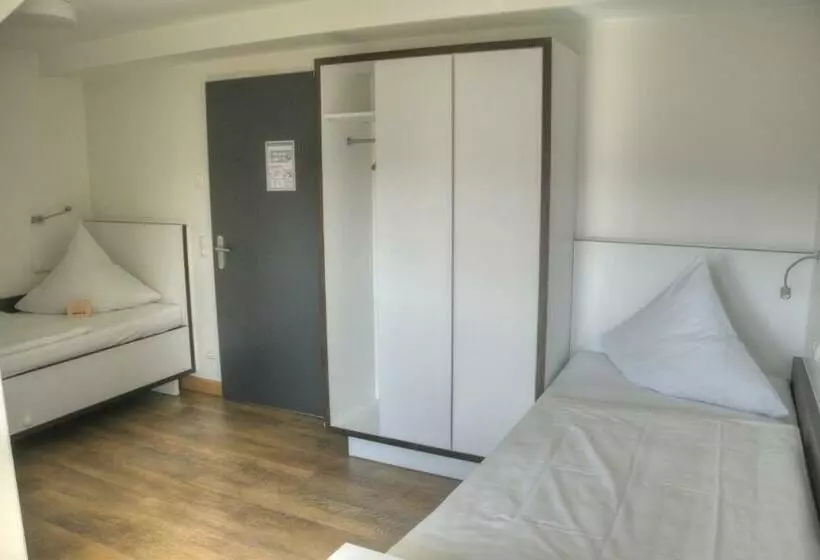 Standard-invahuone, Rosa Flesch Hotel Und Tagungszentrum