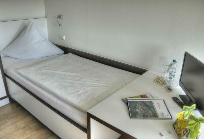 Номер Стандарт Адаптированный для Инвалидов, Rosa Flesch Hotel Und Tagungszentrum