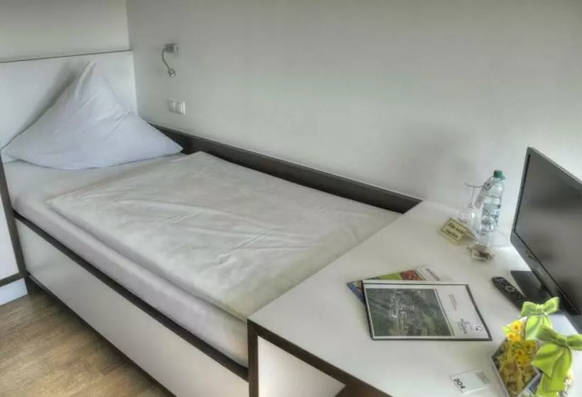Standard-invahuone, Rosa Flesch Hotel Und Tagungszentrum