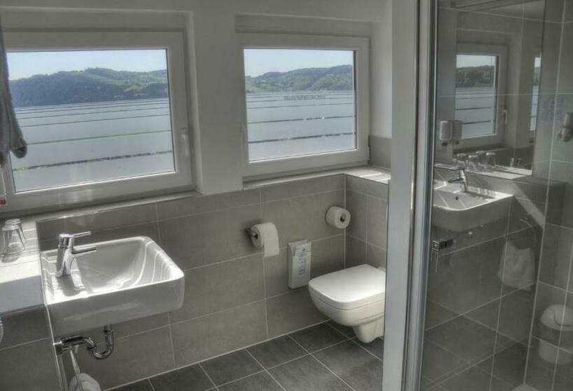 Номер Стандарт Адаптированный для Инвалидов, Rosa Flesch Hotel Und Tagungszentrum