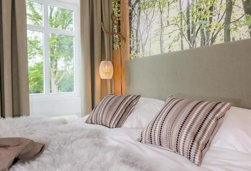 Superior Room, Schmucke Witwe