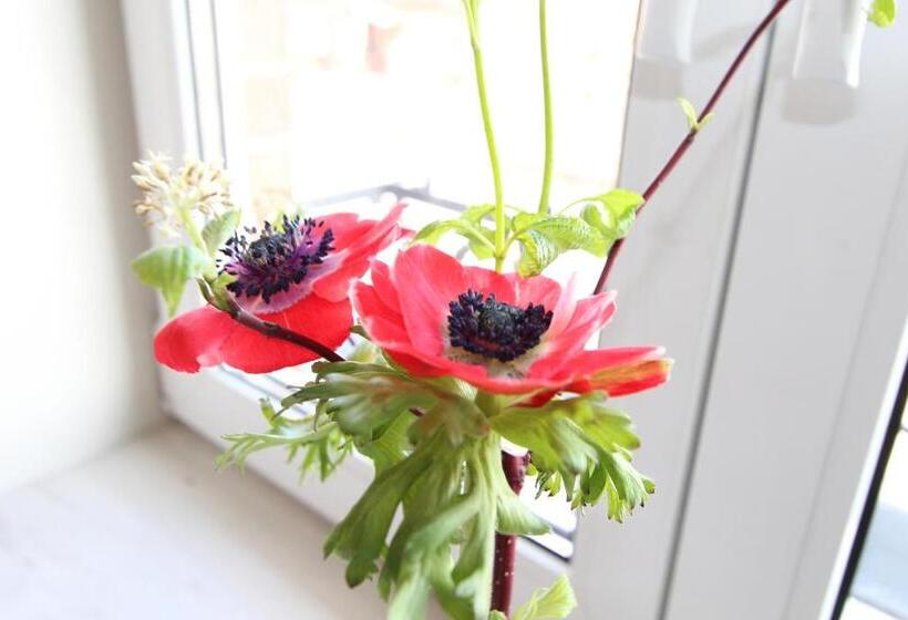 חדר סטנדרט, Thormählen