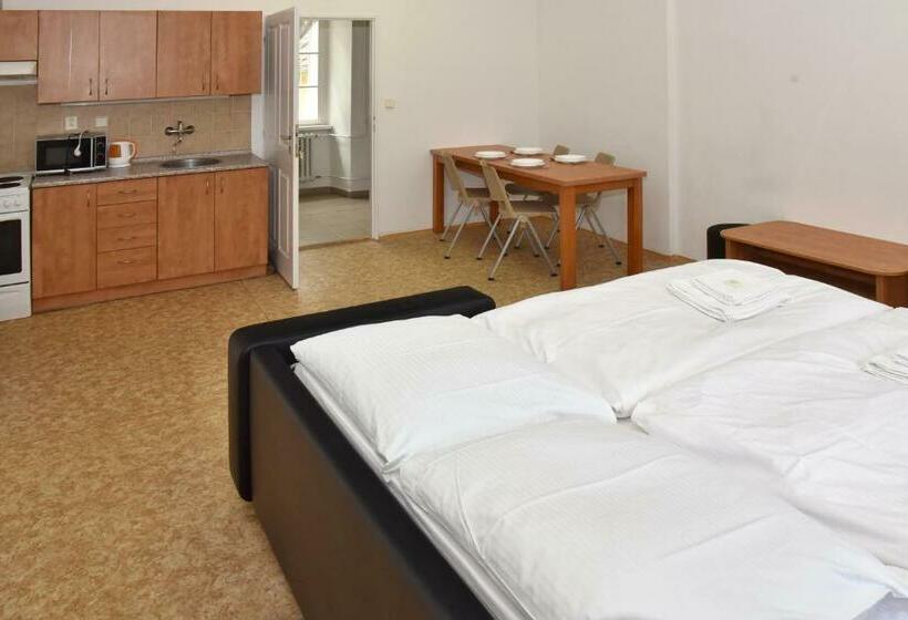 דירה קלאסית חדר שינה אחד, Zámek Castle Račice   Předzámčí Forecastle