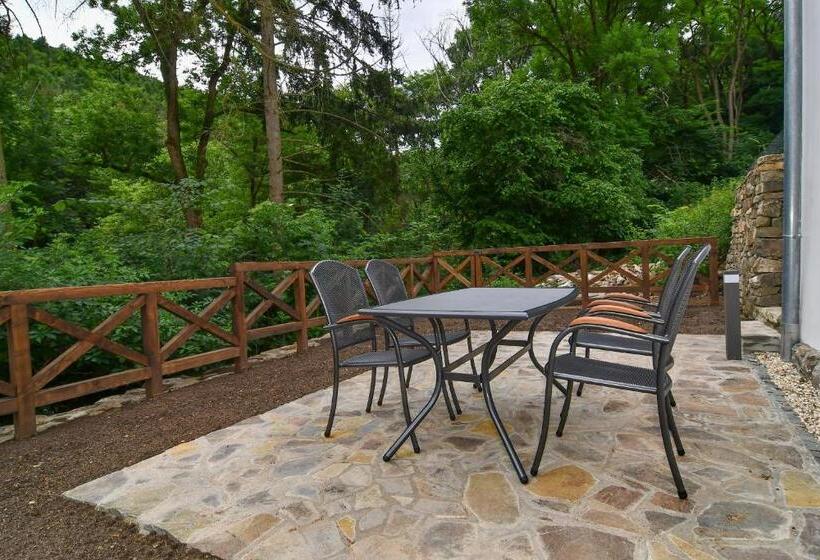 דירת חדר סופריור, Zámek Castle Račice   Předzámčí Forecastle