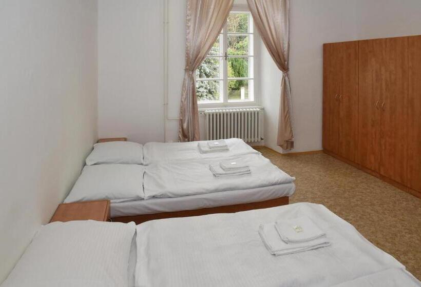 חדר סטנדרטי לארבעה עם חדר אמבטיה משותף, Zámek Castle Račice   Předzámčí Forecastle