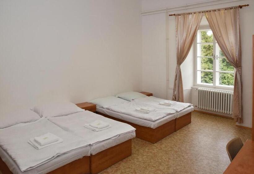 חדר סטנדרטי לארבעה עם חדר אמבטיה משותף, Zámek Castle Račice   Předzámčí Forecastle