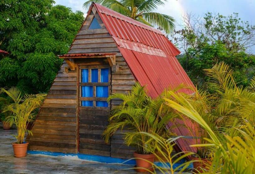 آپارتمان 1 خوابه با چشمانداز, Tinyhouse Samaná