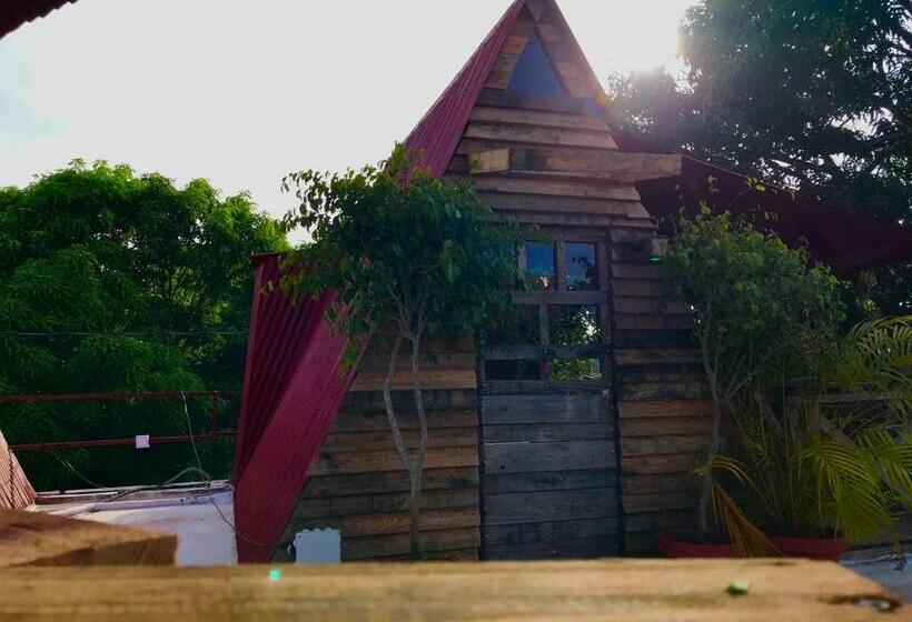 آپارتمان 1 خوابه با چشمانداز, Tinyhouse Samaná