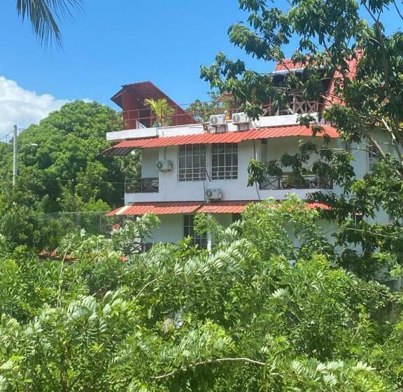 آپارتمان 1 خوابه با چشمانداز, Tinyhouse Samaná