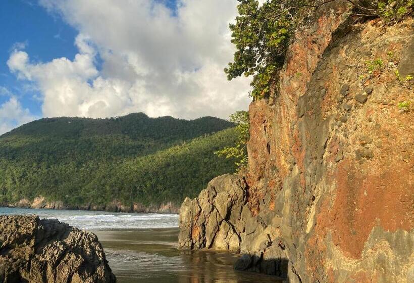 آپارتمان 1 خوابه با چشمانداز, Tinyhouse Samaná